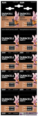 Элемент питания AAA/LR03-2BL Basic 2х10 5011646 (блист.20шт) Duracell Б0051816